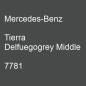 Preview: Mercedes-Benz, Tierra Delfuegogrey Middle, 7781.